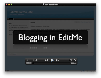 Blogging in EditMe Video