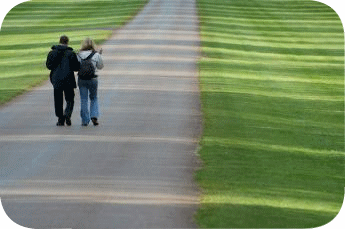 EditMe. It's a walk in the park!