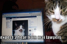 LOLcat