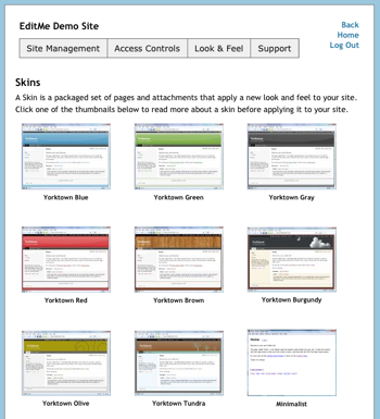 The Skins screen in EditMe's Site Settings